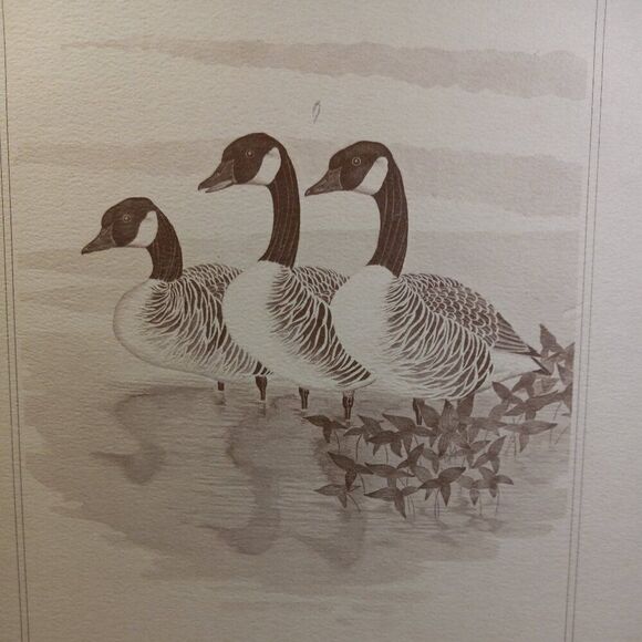 Vintage American Waterfowl Etching/Print Lynn Forehand 3 of 5 Cottagecor… - Picture 7 of 7